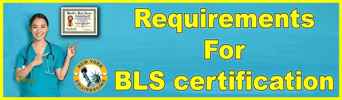 What Is BLS Certification For Nurses: Guide for 2024 New York