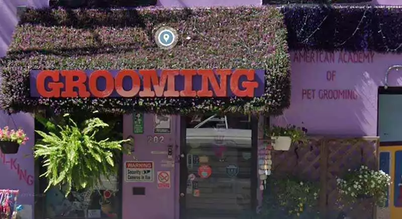 Dog Grooming Schools in New York American Academy of Pet Grooming