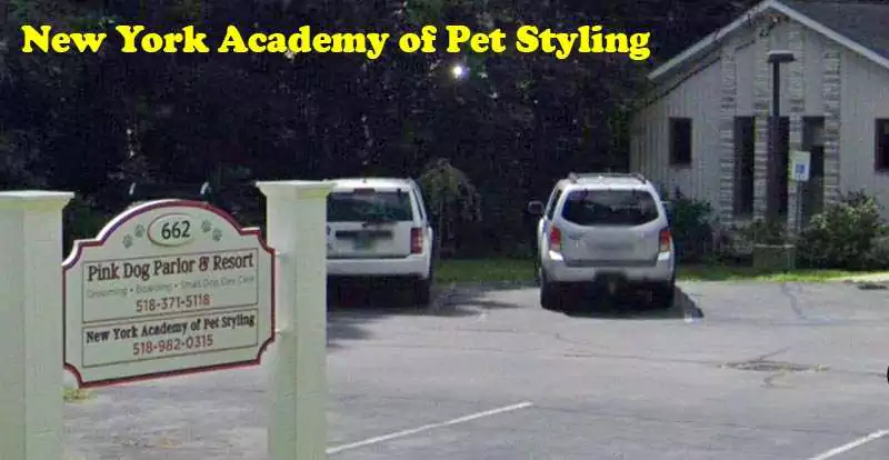 Dog Grooming Schools in New York New York Academy of Pet Styling