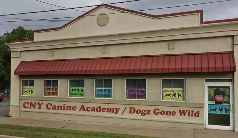 Dog Grooming Schools in Western New York Dogz Gone Wild