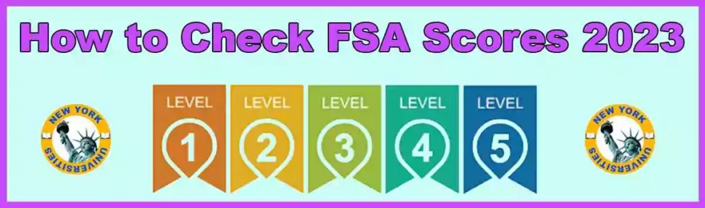 How to Check FSA Scores 2023