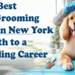 Best Dog Grooming Schools in New York